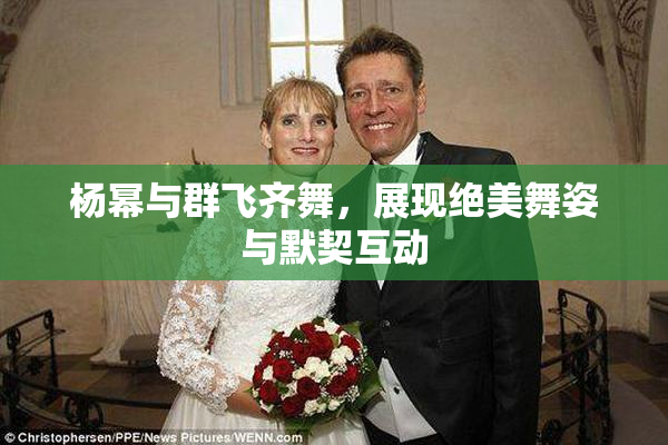 杨幂与群飞齐舞，展现绝美舞姿与默契互动