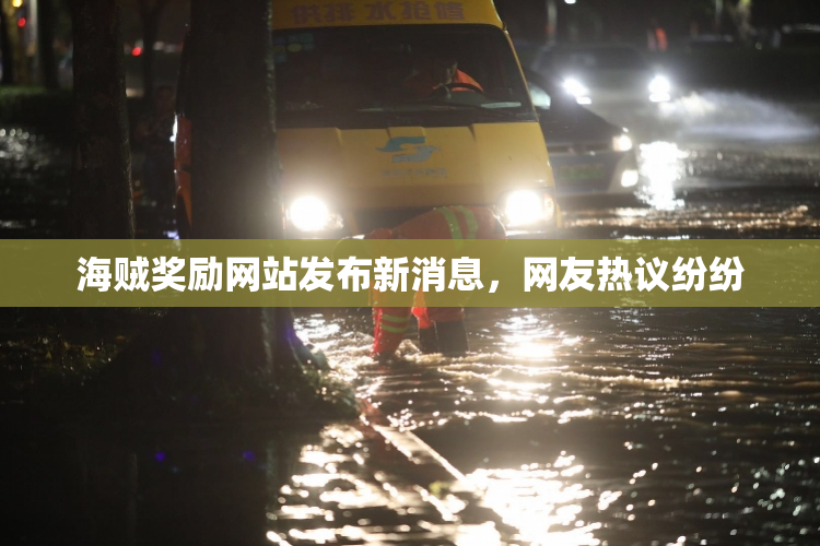 海贼奖励网站发布新消息，网友热议纷纷