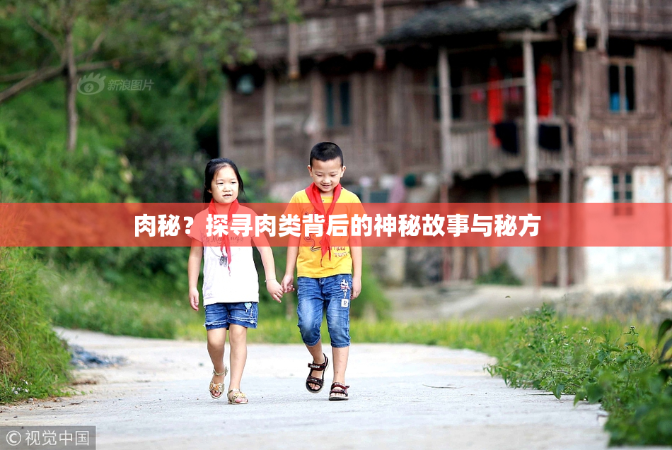 肉秘？探寻肉类背后的神秘故事与秘方