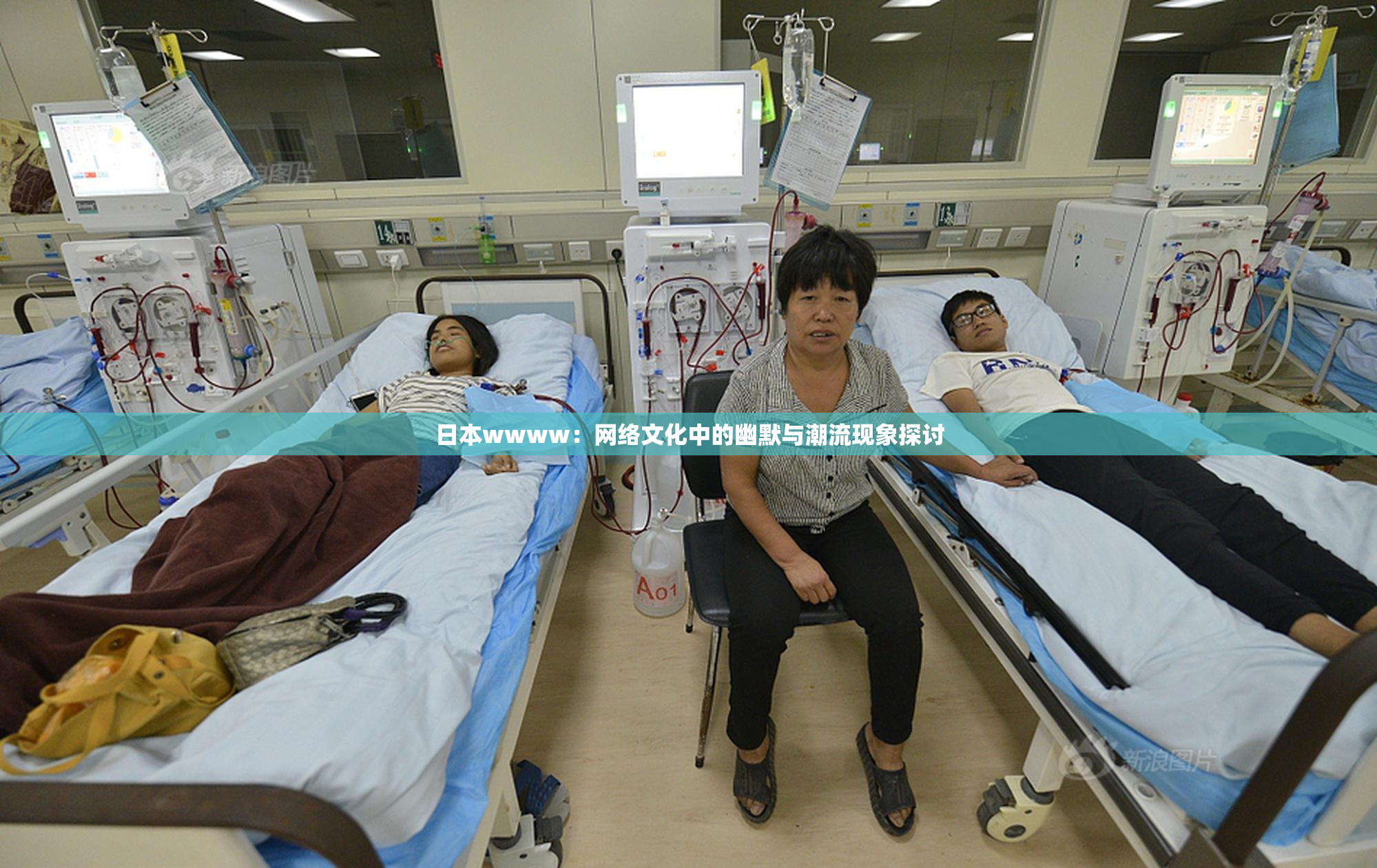 日本wwww：网络文化中的幽默与潮流现象探讨