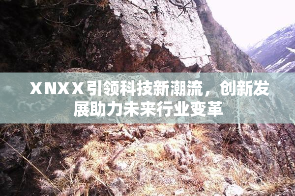 ⅩNXⅩ引领科技新潮流，创新发展助力未来行业变革