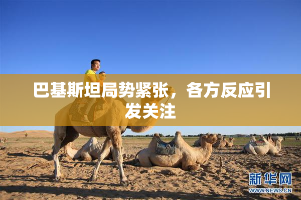 巴基斯坦局势紧张，各方反应引发关注