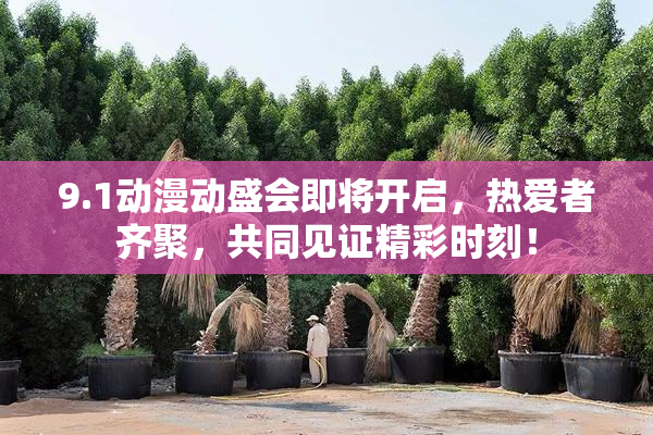 9.1动漫动盛会即将开启，热爱者齐聚，共同见证精彩时刻！