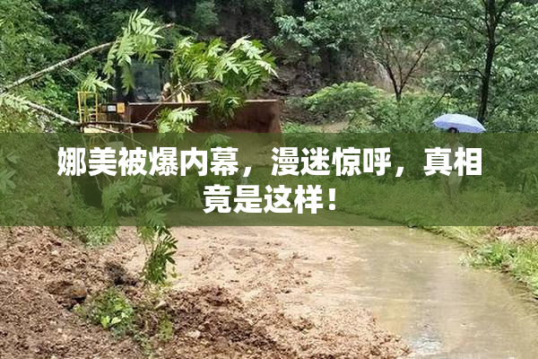 娜美被爆内幕，漫迷惊呼，真相竟是这样！
