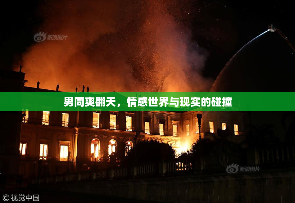 男同爽翻天，情感世界与现实的碰撞