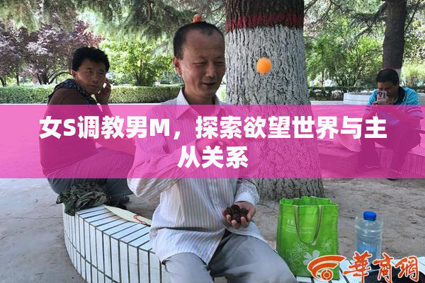 女S调教男M，探索欲望世界与主从关系