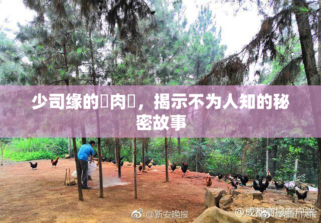 少司缘的婬肉泬，揭示不为人知的秘密故事