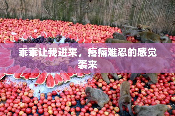 乖乖让我进来，疼痛难忍的感觉袭来