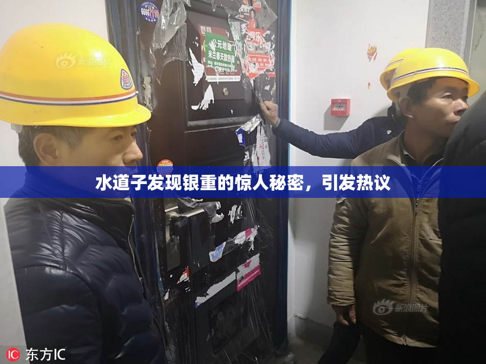 水道子发现银重的惊人秘密，引发热议