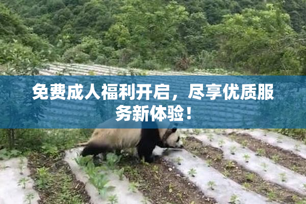 免费成人福利开启，尽享优质服务新体验！