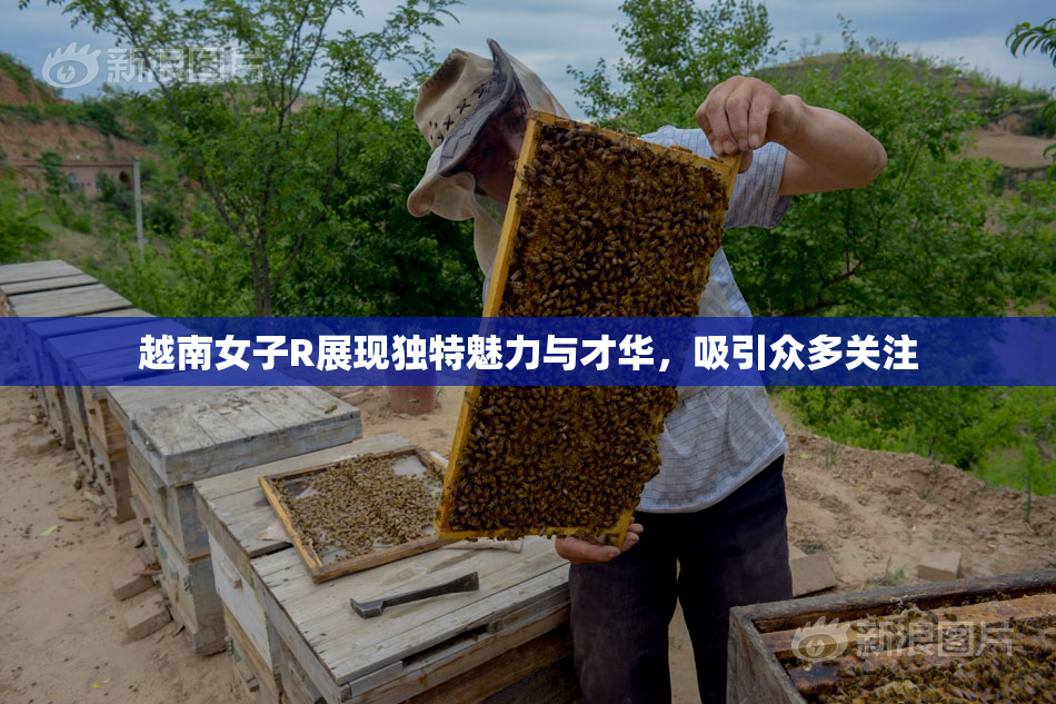 越南女子R展现独特魅力与才华，吸引众多关注
