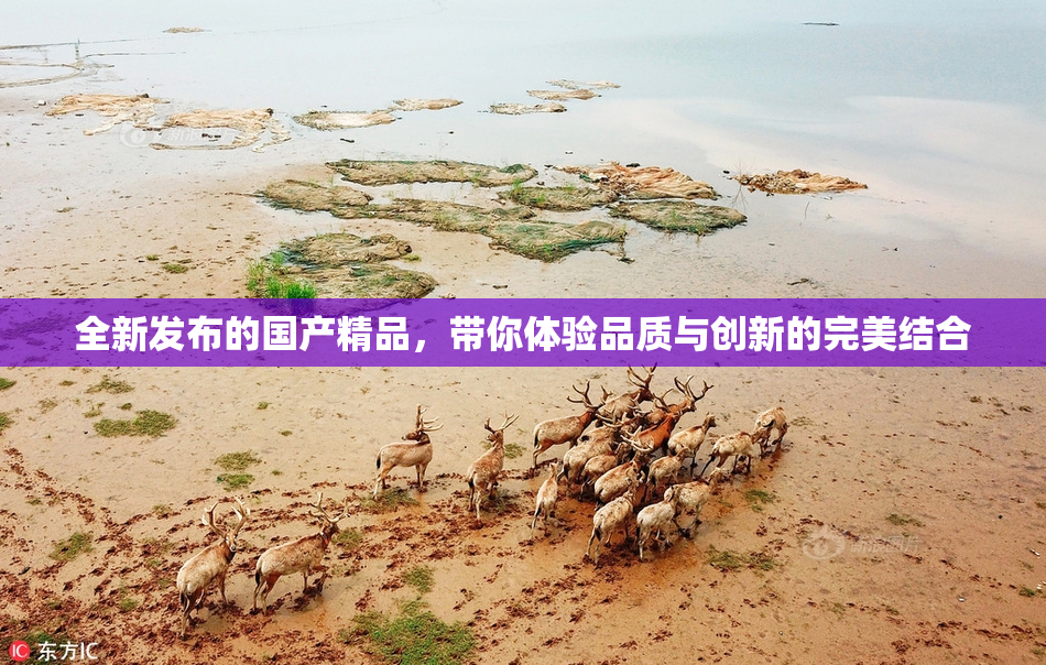 全新发布的国产精品，带你体验品质与创新的完美结合