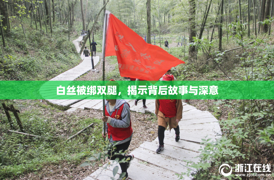 白丝被绑双腿，揭示背后故事与深意