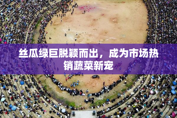 丝瓜绿巨脱颖而出，成为市场热销蔬菜新宠