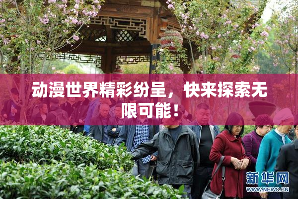 动漫世界精彩纷呈，快来探索无限可能！