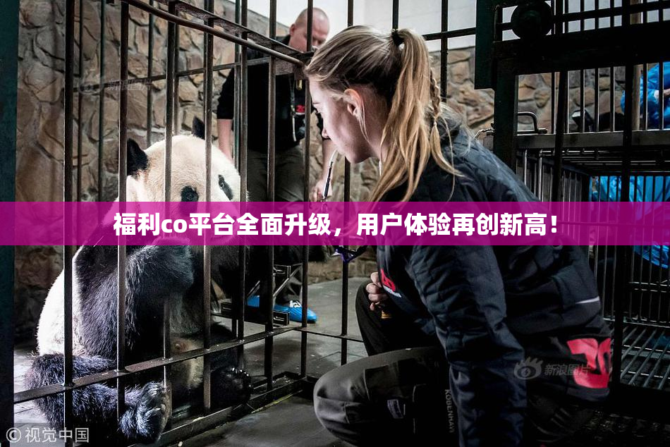 福利co平台全面升级，用户体验再创新高！