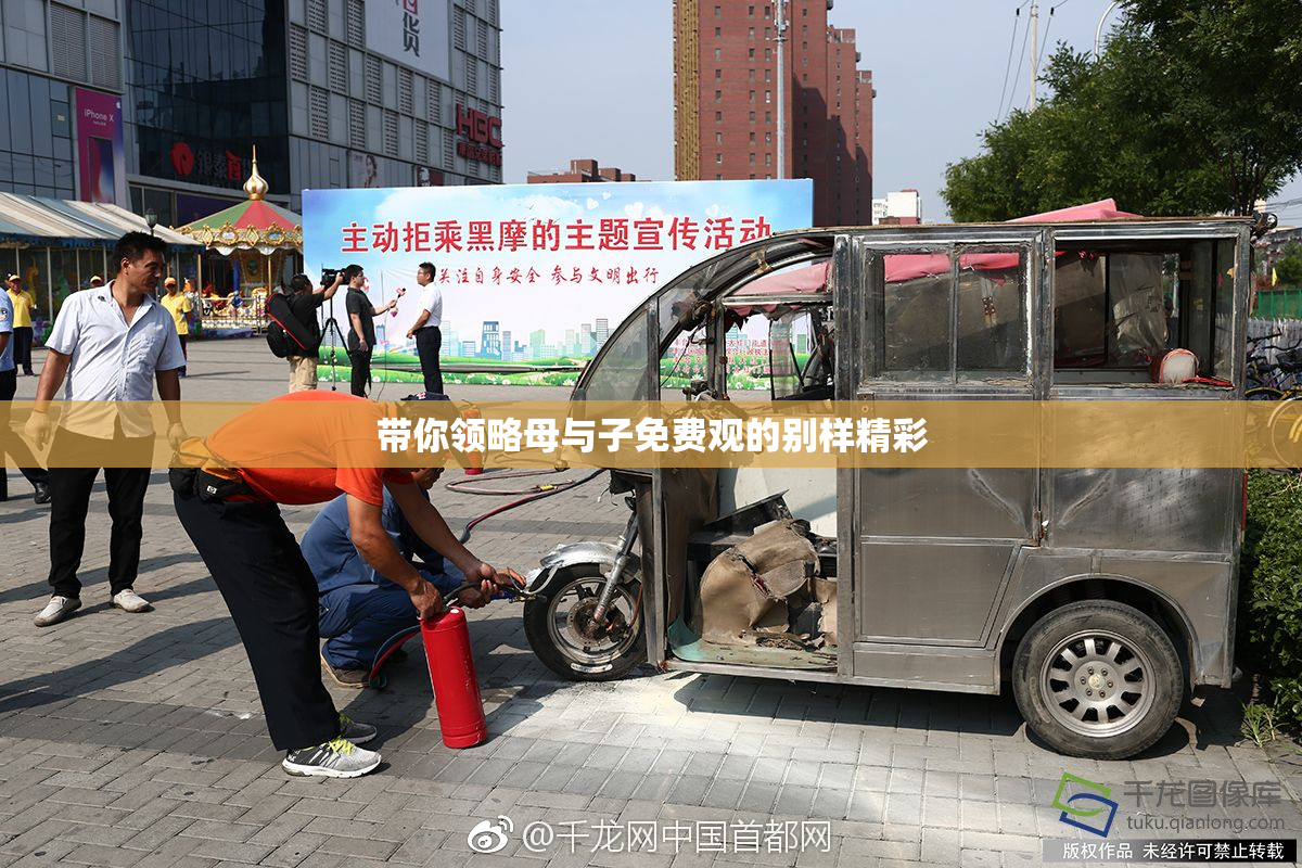 带你领略母与子免费观的别样精彩