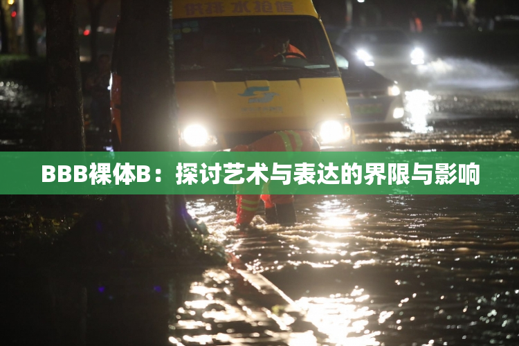 BBB裸体B：探讨艺术与表达的界限与影响