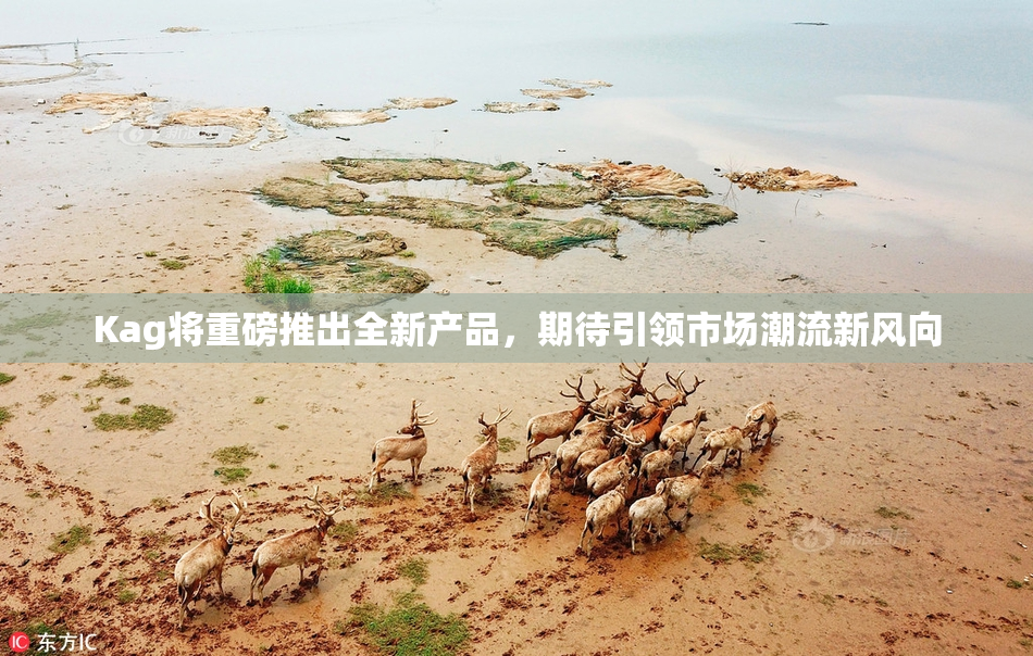 Kag将重磅推出全新产品，期待引领市场潮流新风向