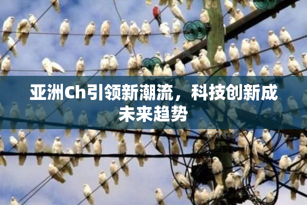 亚洲Ch引领新潮流，科技创新成未来趋势