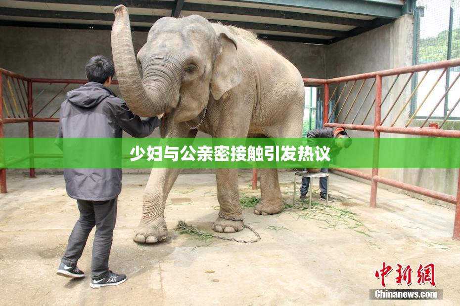 少妇与公亲密接触引发热议