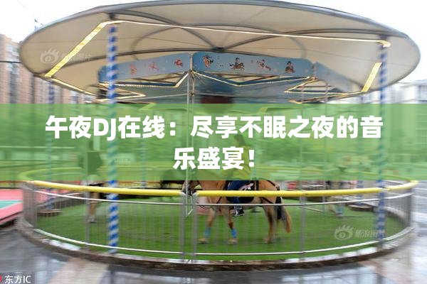 午夜DJ在线：尽享不眠之夜的音乐盛宴！