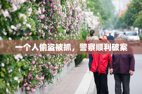 一个人偷盗被抓，警察顺利破案