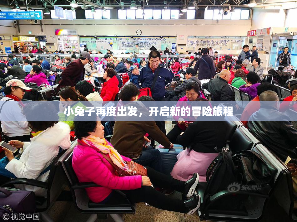 小兔子再度出发，开启新的冒险旅程
