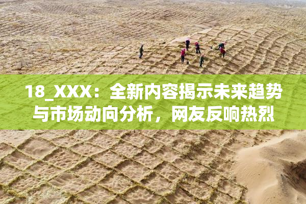 18_XXX：全新内容揭示未来趋势与市场动向分析，网友反响热烈。
