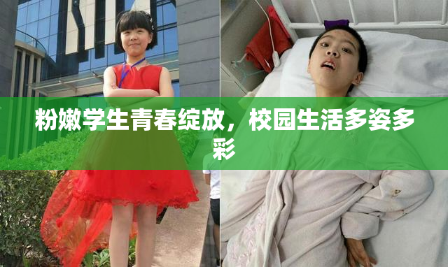 粉嫩学生青春绽放，校园生活多姿多彩
