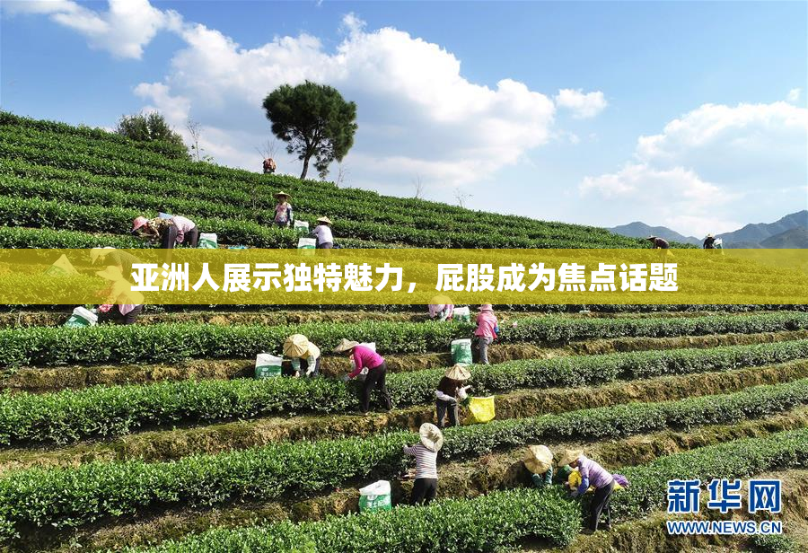亚洲人展示独特魅力，屁股成为焦点话题