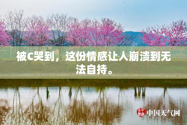 被C哭到，这份情感让人崩溃到无法自持。