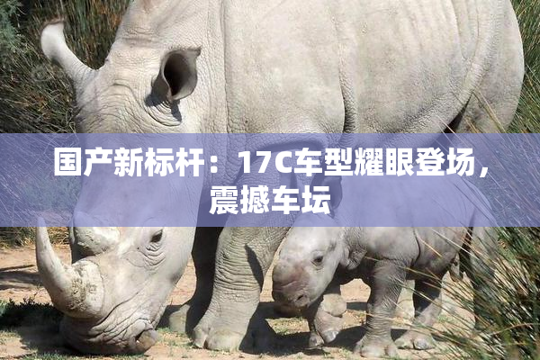 国产新标杆：17C车型耀眼登场，震撼车坛