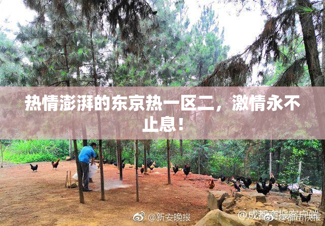 热情澎湃的东京热一区二，激情永不止息！