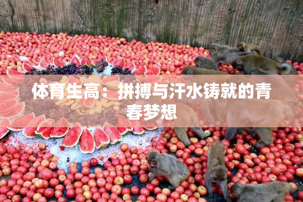 体育生高：拼搏与汗水铸就的青春梦想