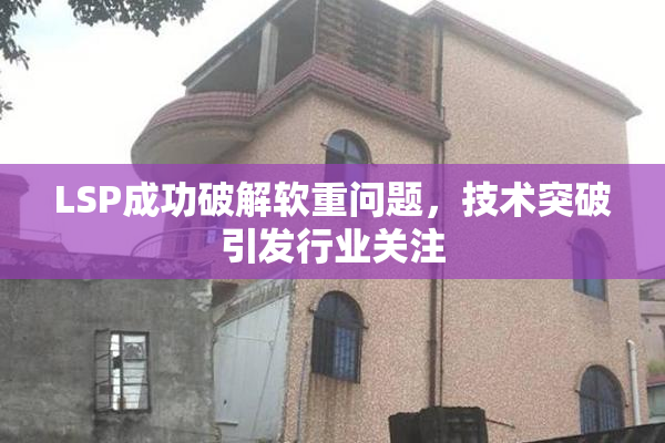 LSP成功破解软重问题，技术突破引发行业关注