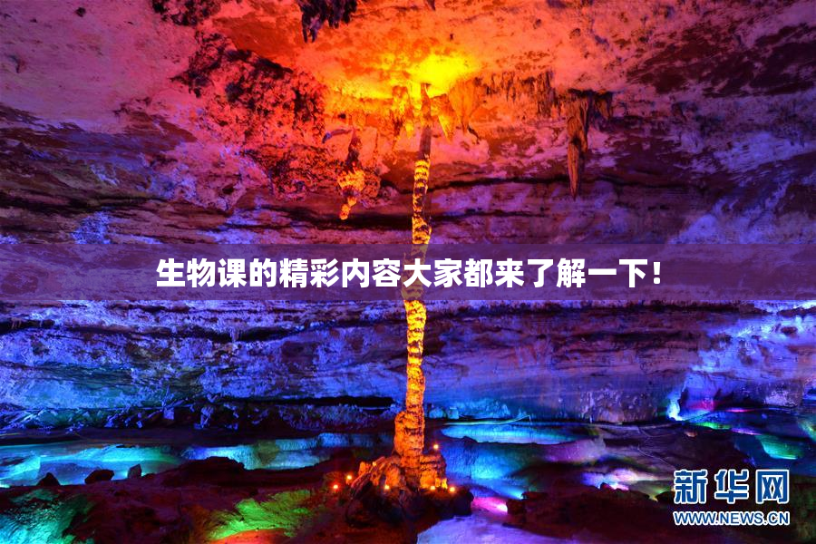 生物课的精彩内容大家都来了解一下！