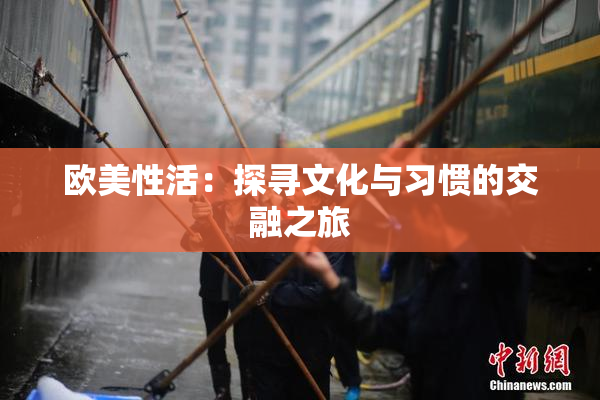 欧美性活：探寻文化与习惯的交融之旅
