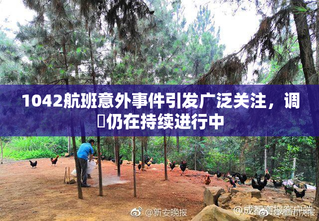 1042航班意外事件引发广泛关注，调査仍在持续进行中