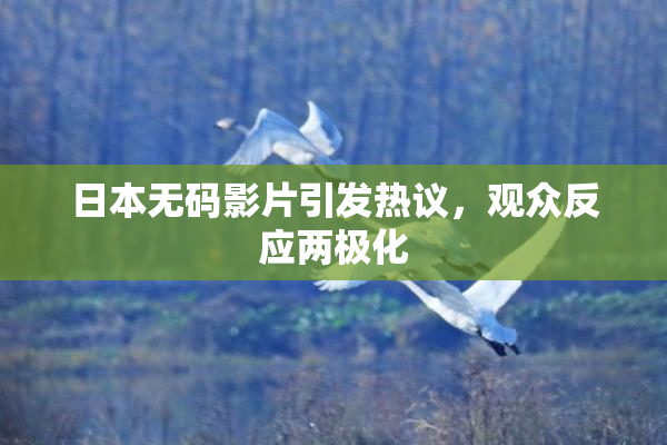 日本无码影片引发热议，观众反应两极化