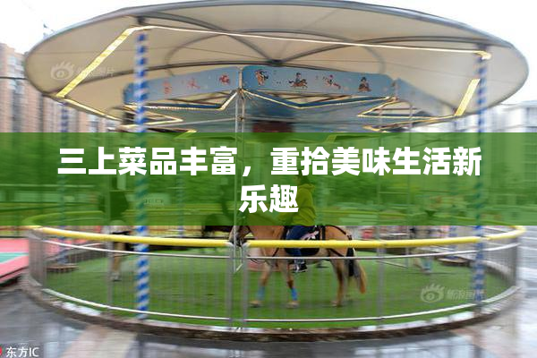 三上菜品丰富，重拾美味生活新乐趣