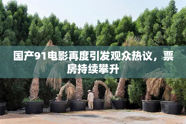 国产91电影再度引发观众热议，票房持续攀升