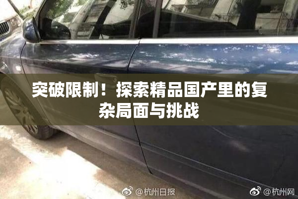突破限制！探索精品国产里的复杂局面与挑战