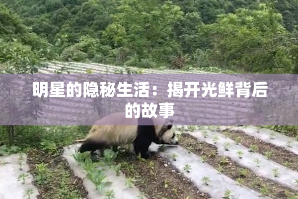 明星的隐秘生活：揭开光鲜背后的故事