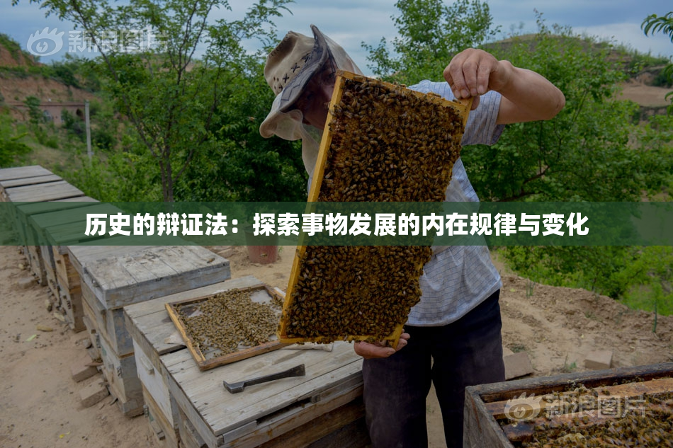 历史的辩证法：探索事物发展的内在规律与变化
