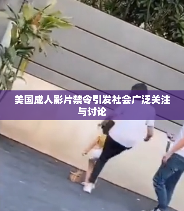 美国成人影片禁令引发社会广泛关注与讨论