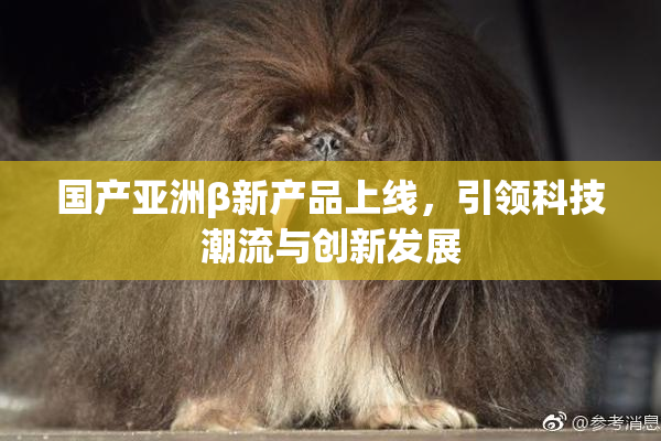 国产亚洲β新产品上线，引领科技潮流与创新发展