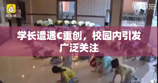 学长遭遇C重创，校园内引发广泛关注