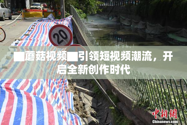 ▇蘑菇视频▇引领短视频潮流，开启全新创作时代