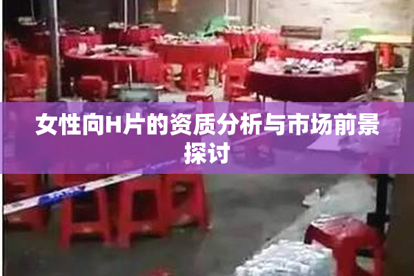 女性向H片的资质分析与市场前景探讨